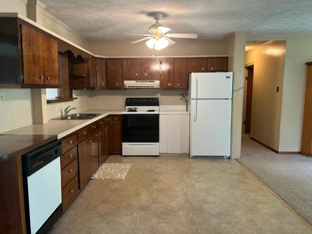 6600 Boston Laffoon Rd, Philpot, Kentucky 42366, 3 Bedrooms Bedrooms, ,1 BathroomBathrooms,Single Family Residence,For Sale,Boston Laffoon Rd,87410