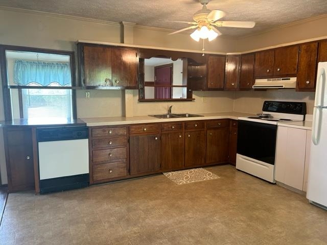 6600 Boston Laffoon Rd, Philpot, Kentucky 42366, 3 Bedrooms Bedrooms, ,1 BathroomBathrooms,Single Family Residence,For Sale,Boston Laffoon Rd,87410