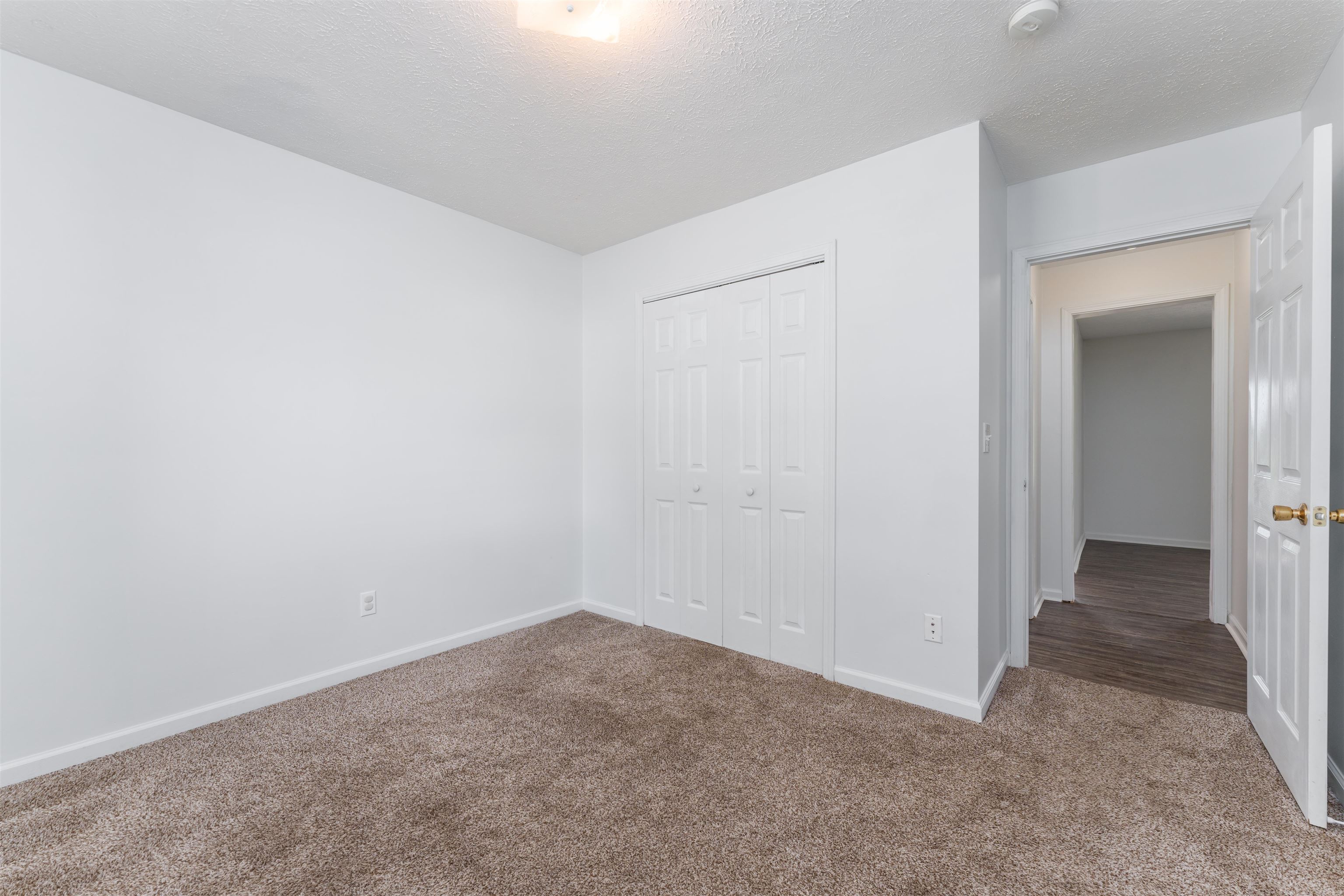 79 Kavanaugh Lane, Hartford, Kentucky 42347, 5 Bedrooms Bedrooms, ,2 BathroomsBathrooms,Single Family Residence,For Sale,Kavanaugh Lane,87416
