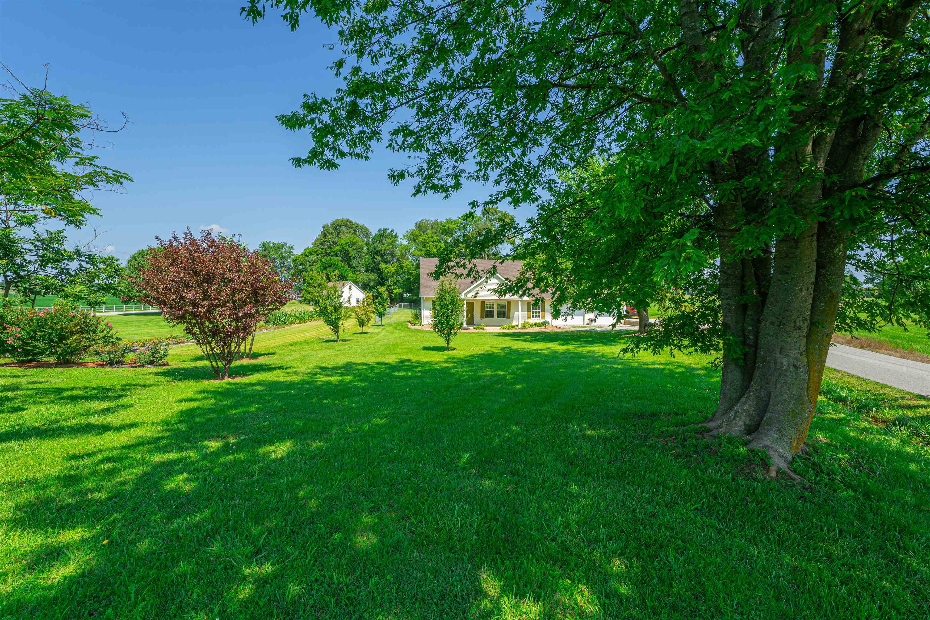79 Kavanaugh Lane, Hartford, Kentucky 42347, 5 Bedrooms Bedrooms, ,2 BathroomsBathrooms,Single Family Residence,For Sale,Kavanaugh Lane,87416