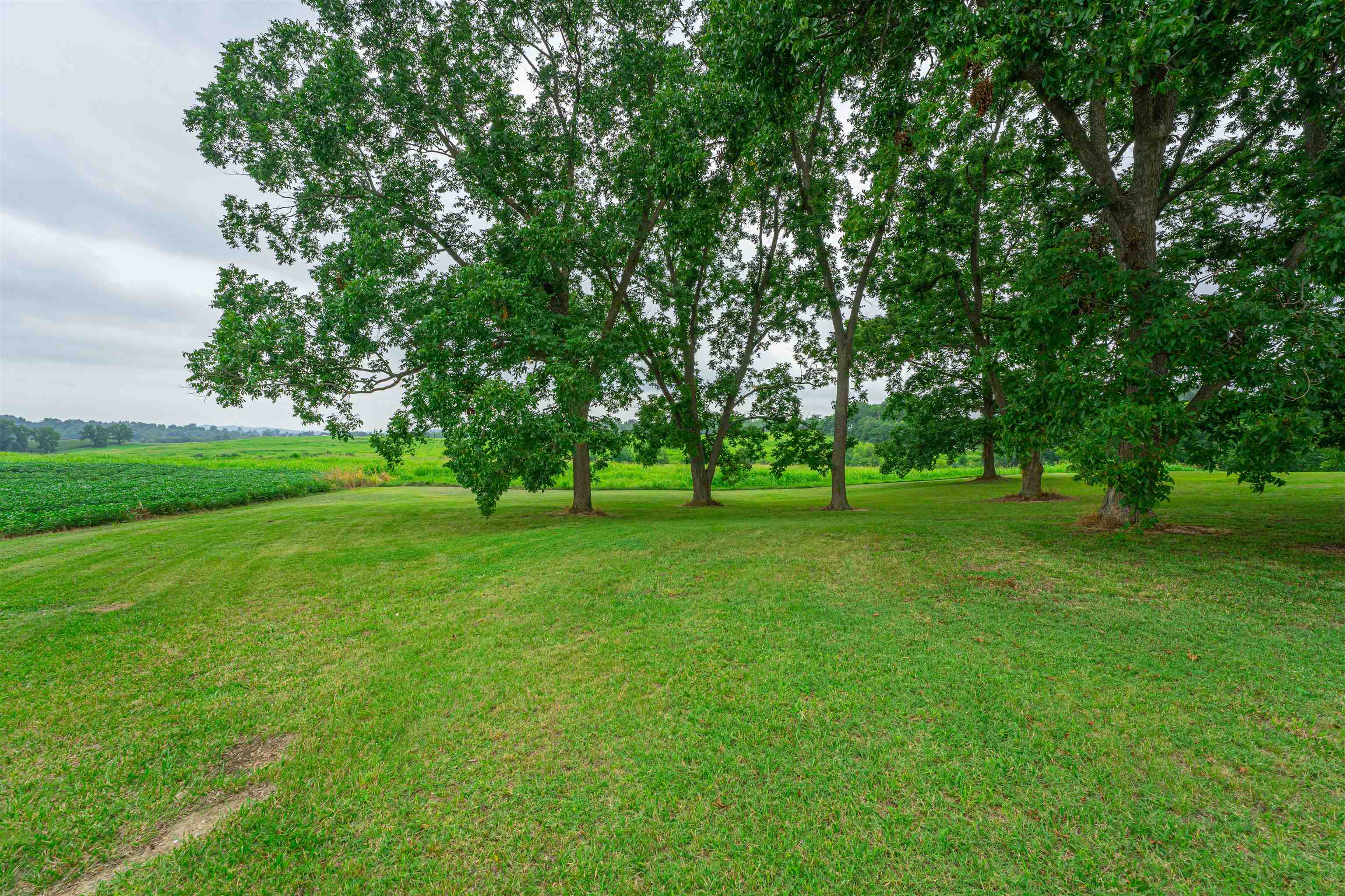 8234 Short Station Road, Philpot, Kentucky 42366, 4 Bedrooms Bedrooms, ,3 BathroomsBathrooms,Single Family Residence,For Sale,Short Station Road,87567