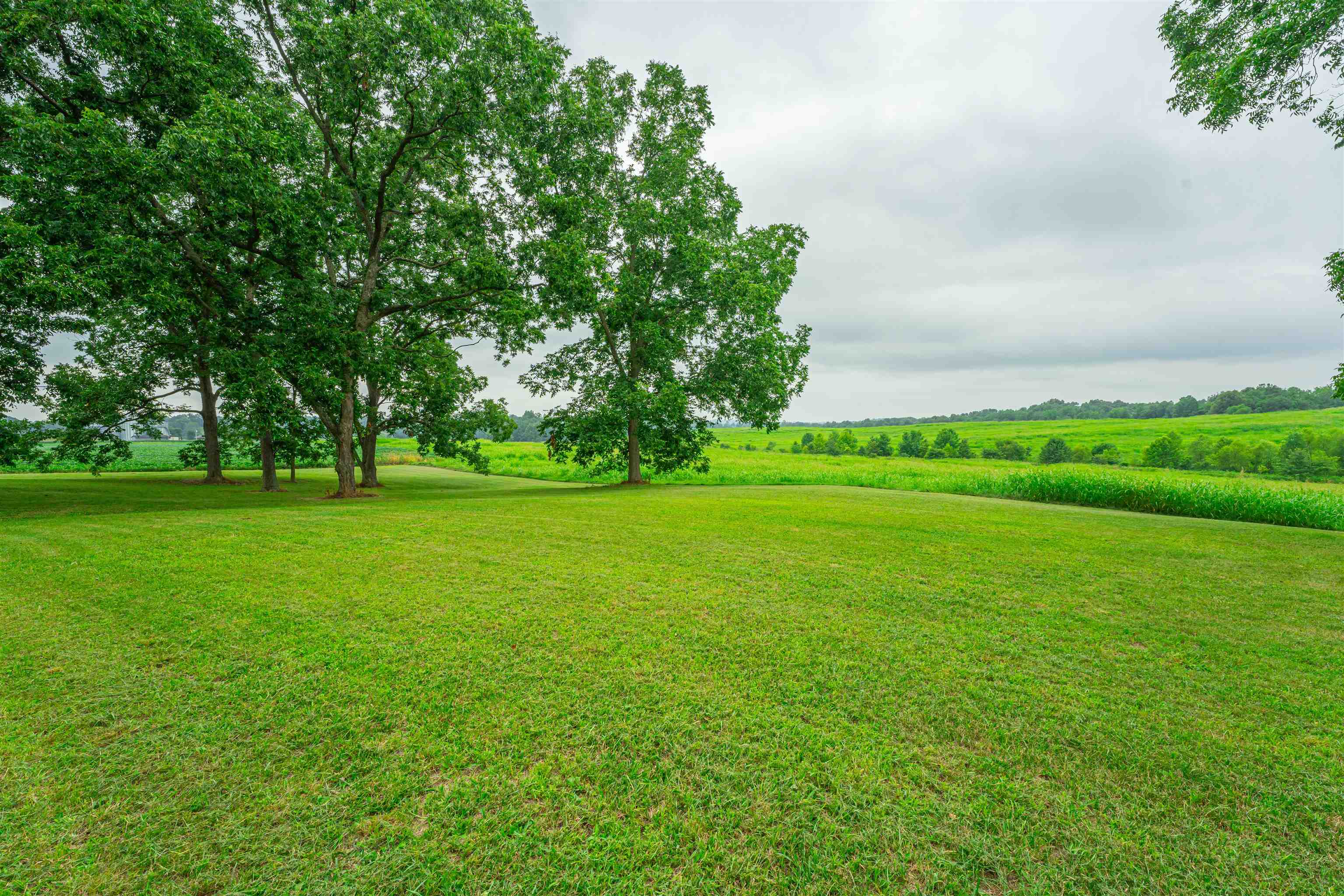 8234 Short Station Road, Philpot, Kentucky 42366, 4 Bedrooms Bedrooms, ,3 BathroomsBathrooms,Single Family Residence,For Sale,Short Station Road,87567