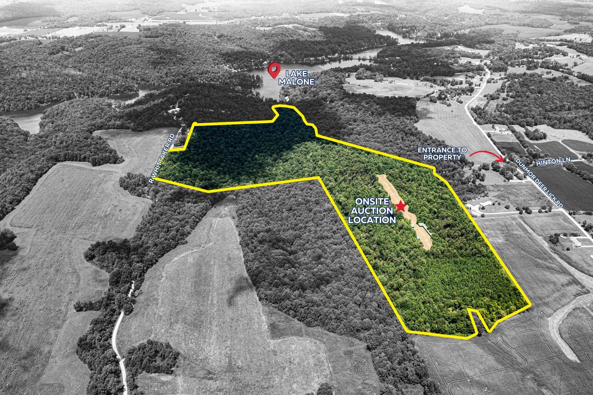 0 Dunmor Deer Lick Road, Lewisburg, Kentucky 42256, ,Land,For Sale,Dunmor Deer Lick Road,87599