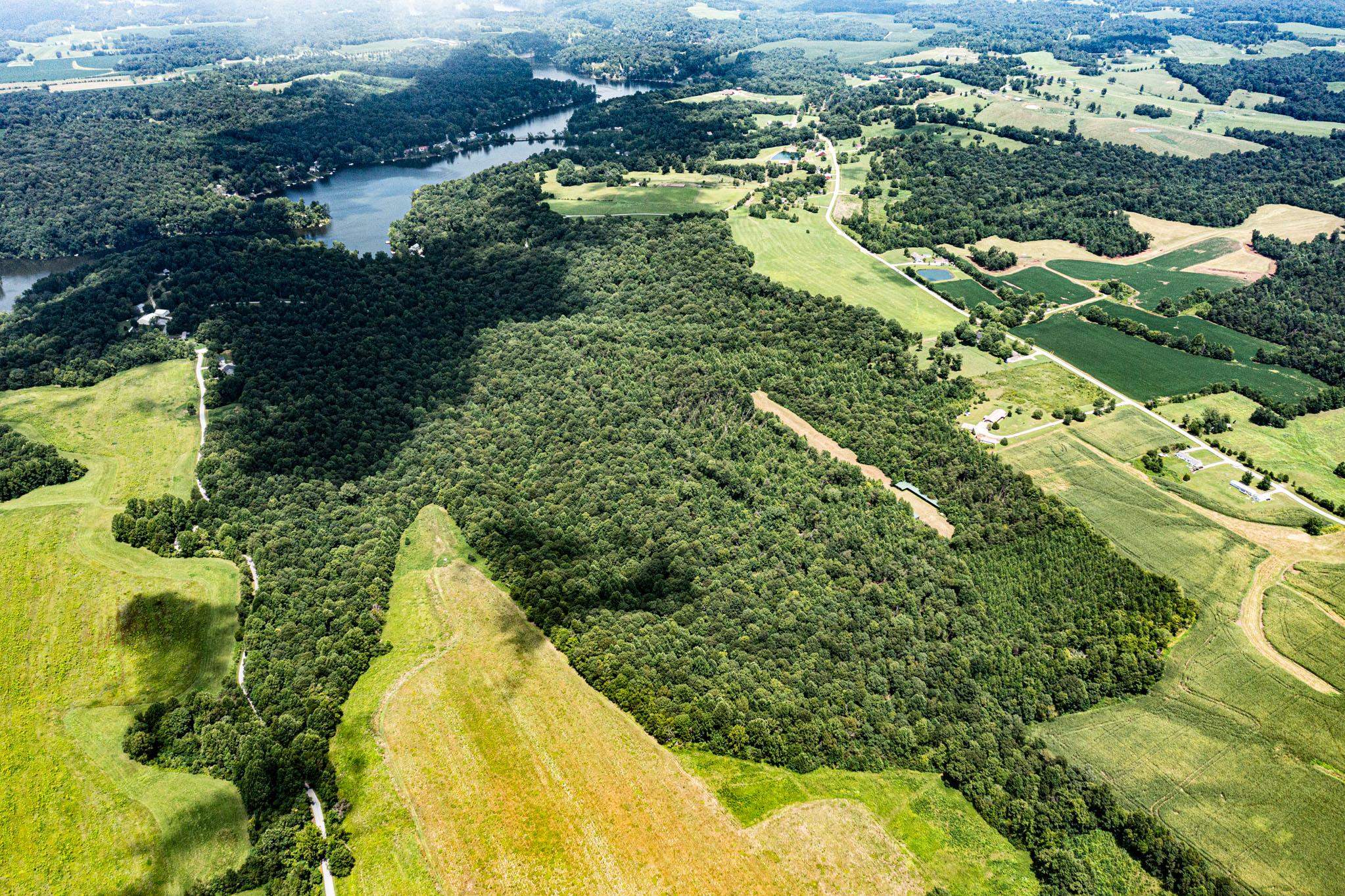 0 Dunmor Deer Lick Road, Lewisburg, Kentucky 42256, ,Land,For Sale,Dunmor Deer Lick Road,87599
