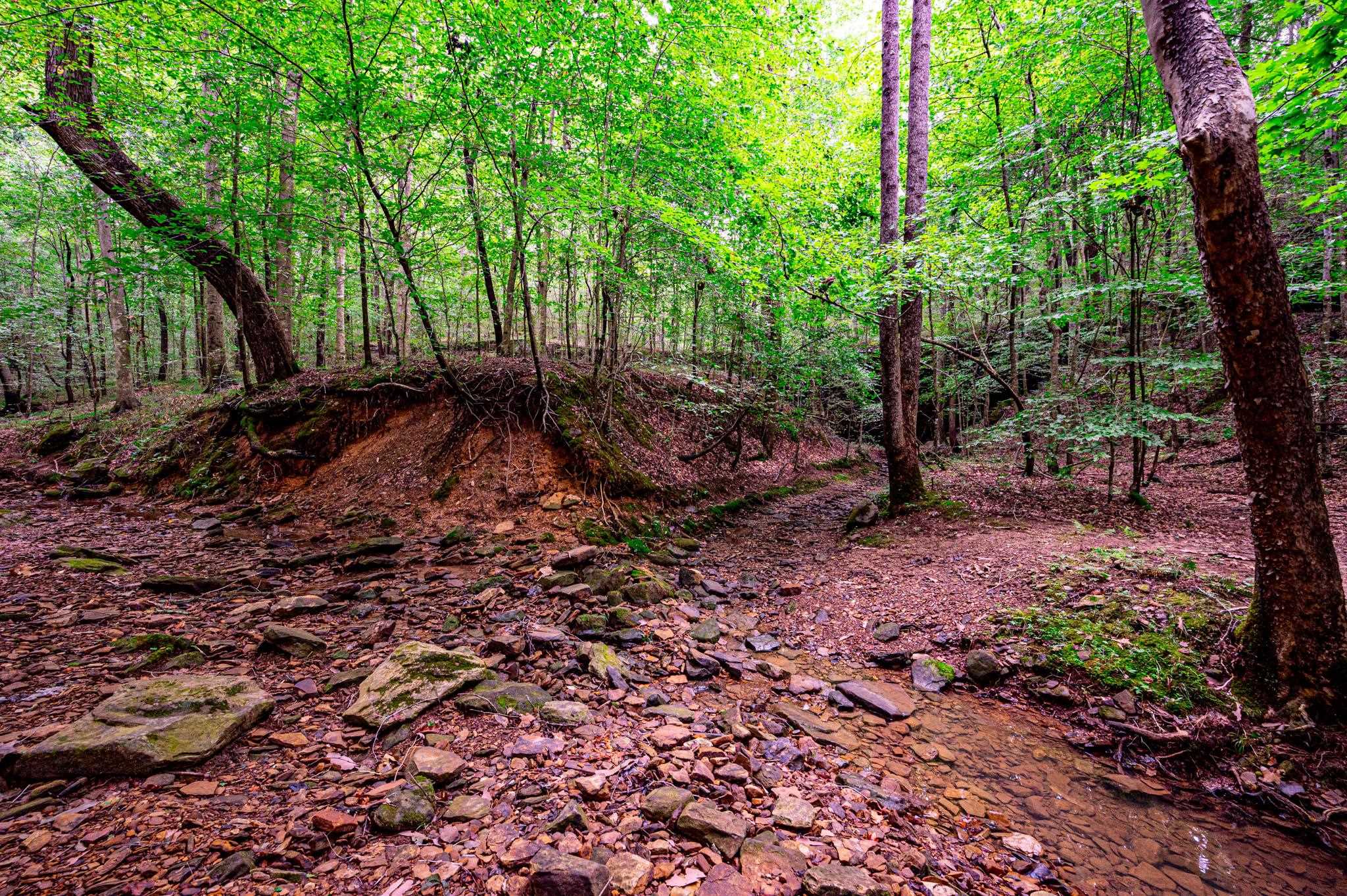 0 Dunmor Deer Lick Road, Lewisburg, Kentucky 42256, ,Land,For Sale,Dunmor Deer Lick Road,87599