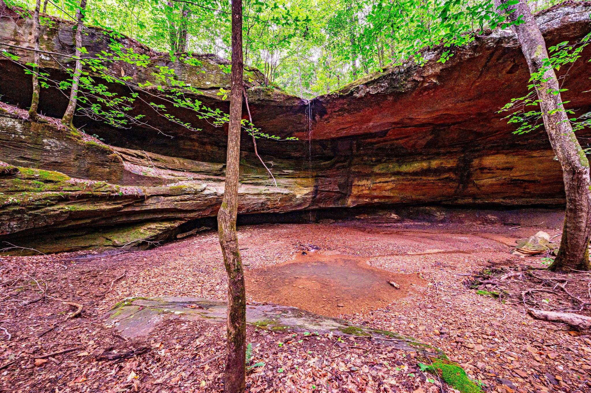 0 Dunmor Deer Lick Road, Lewisburg, Kentucky 42256, ,Land,For Sale,Dunmor Deer Lick Road,87599