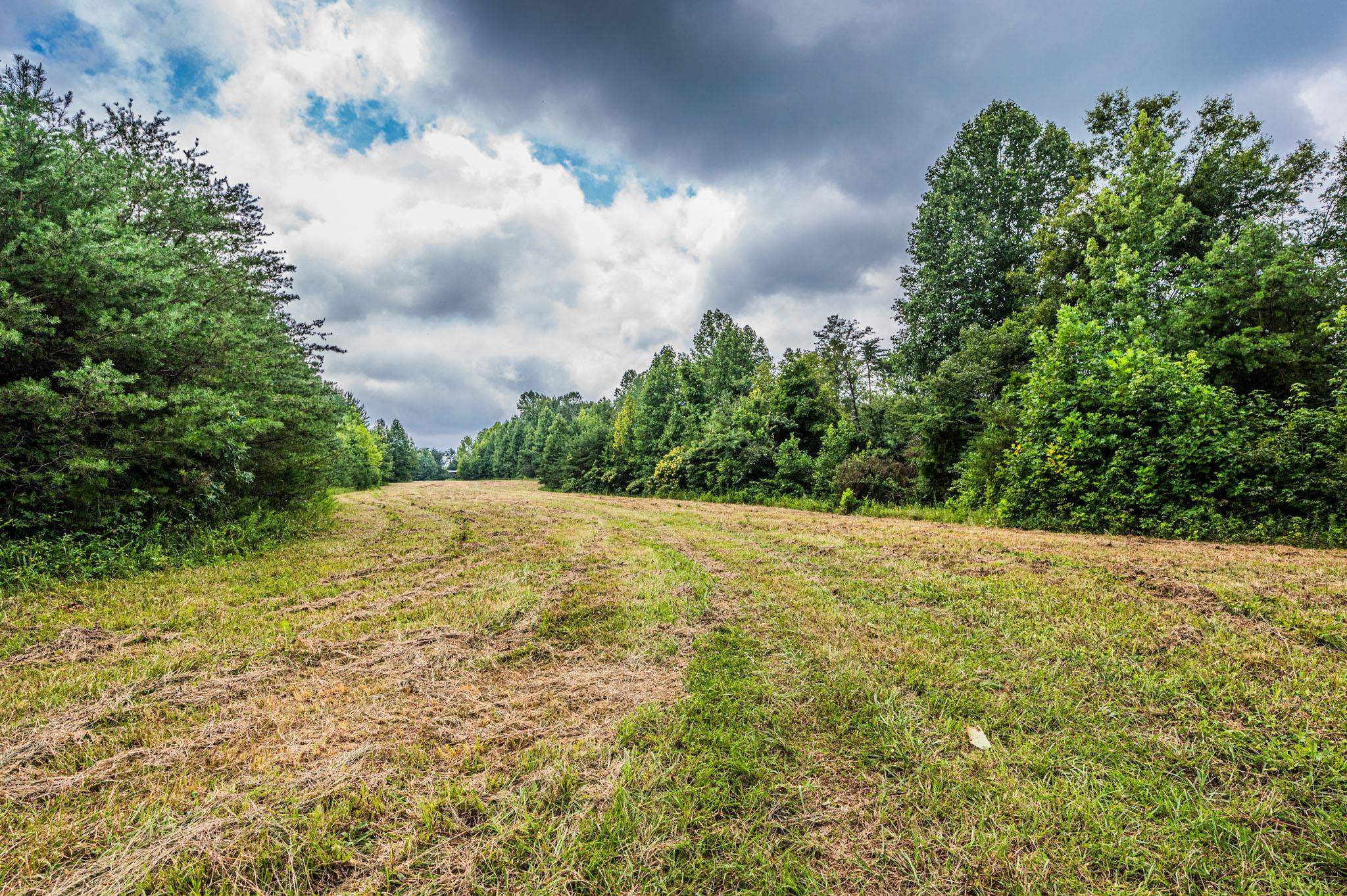 0 Dunmor Deer Lick Road, Lewisburg, Kentucky 42256, ,Land,For Sale,Dunmor Deer Lick Road,87599