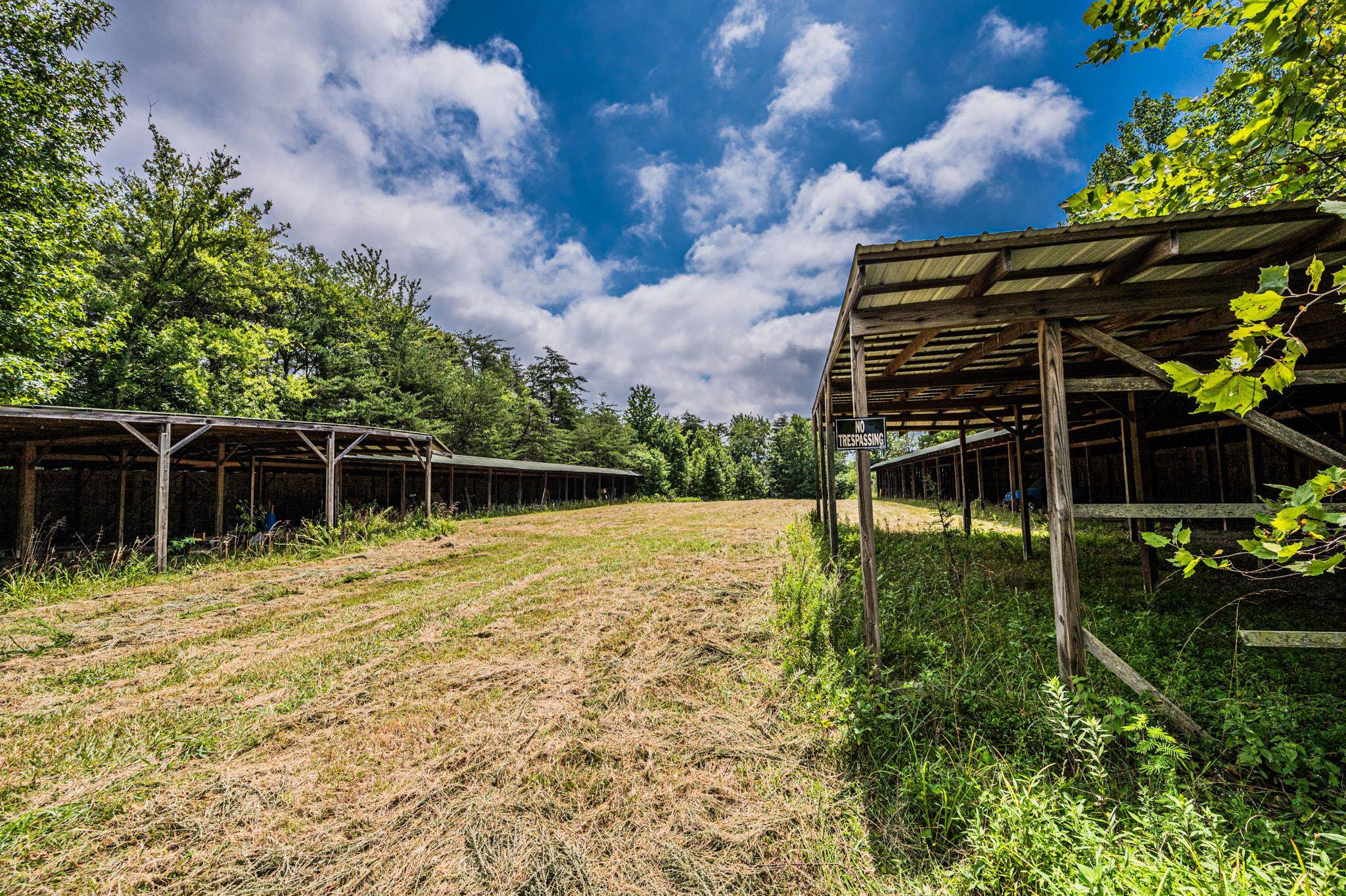 0 Dunmor Deer Lick Road, Lewisburg, Kentucky 42256, ,Land,For Sale,Dunmor Deer Lick Road,87599