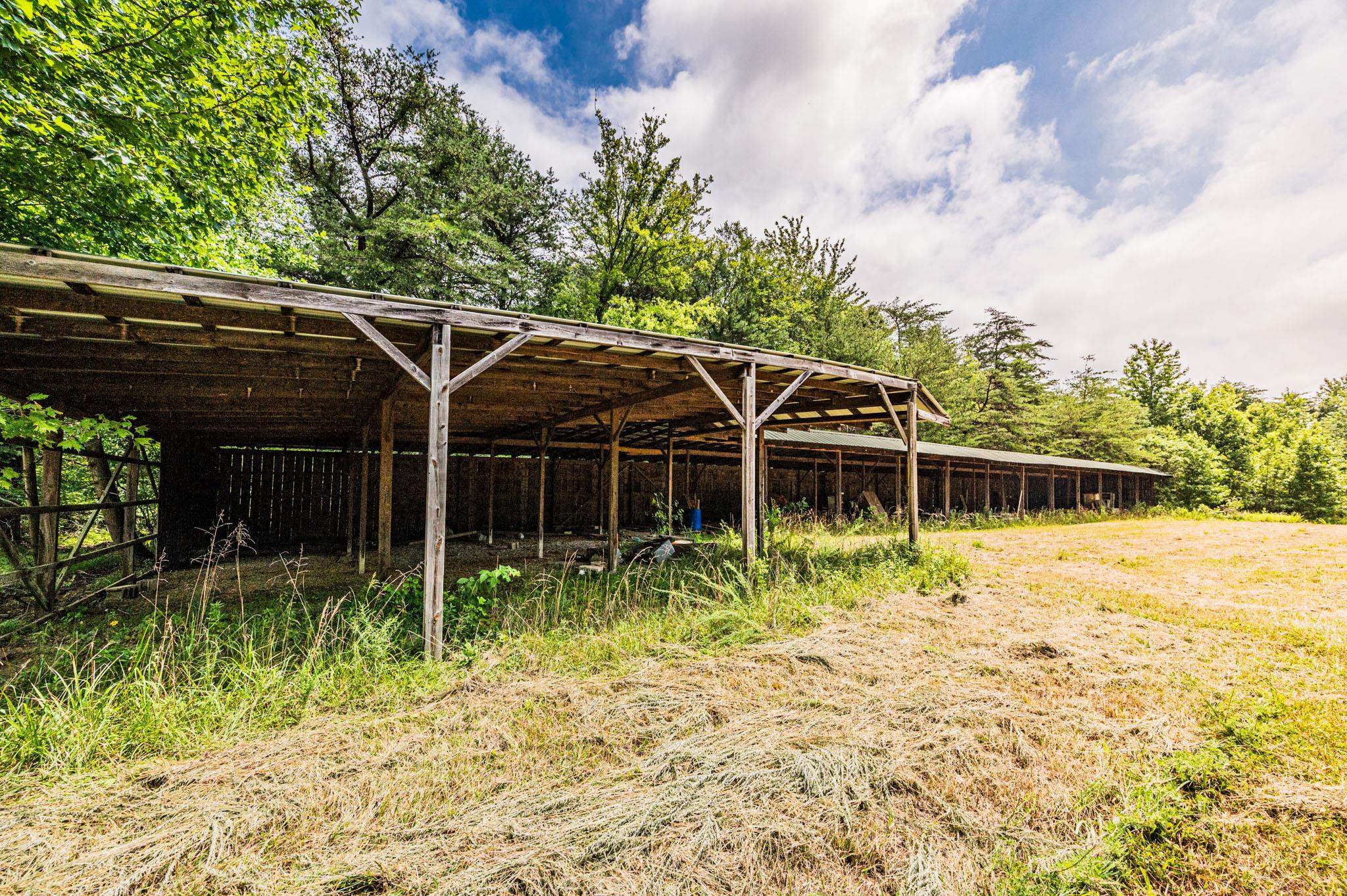 0 Dunmor Deer Lick Road, Lewisburg, Kentucky 42256, ,Land,For Sale,Dunmor Deer Lick Road,87599