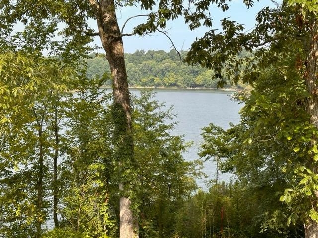 7 & 8 Elm Hill Lane, Leitchfield, Kentucky 42754, ,Land,For Sale,Elm Hill Lane,87626