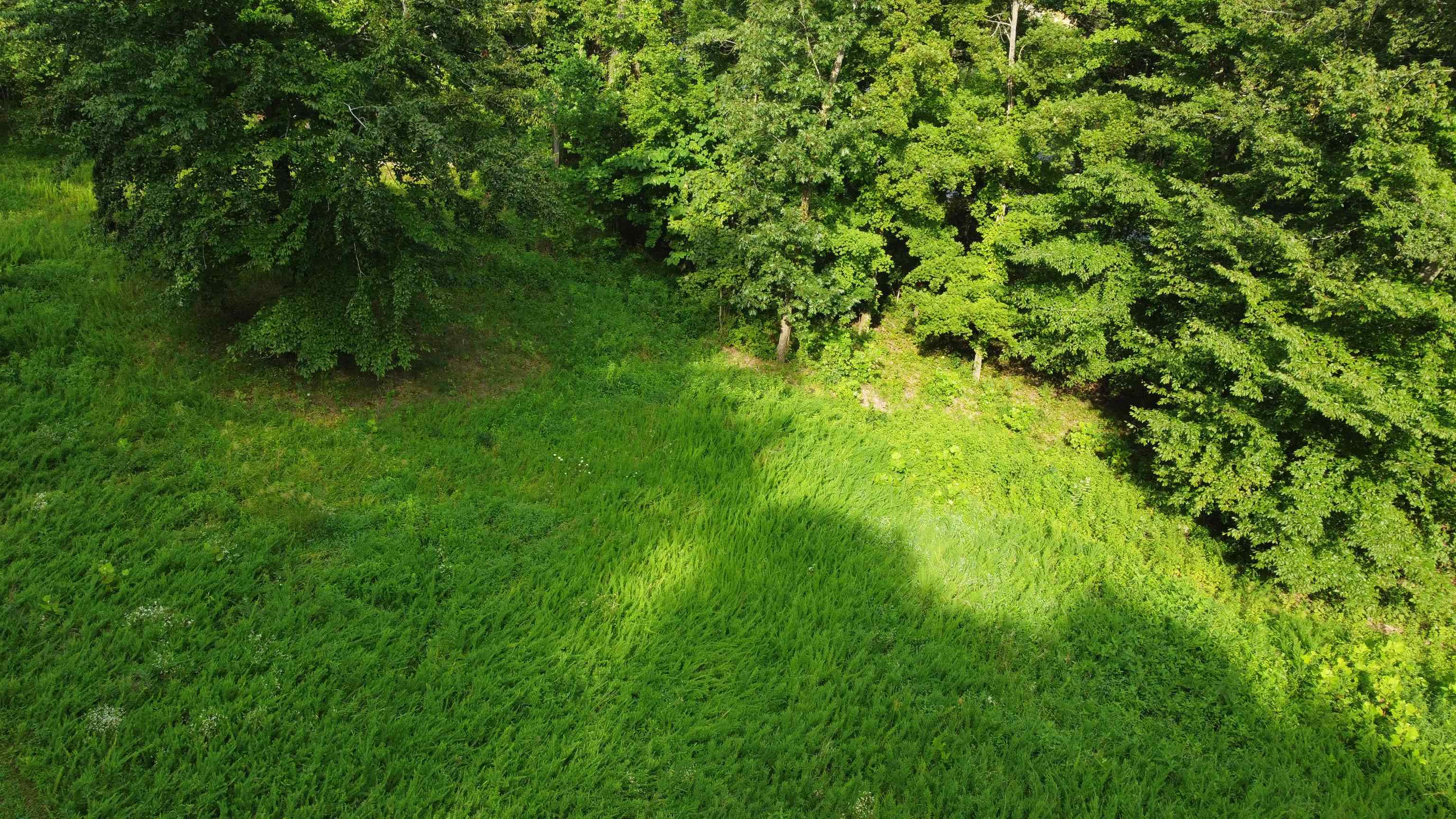7 & 8 Elm Hill Lane, Leitchfield, Kentucky 42754, ,Land,For Sale,Elm Hill Lane,87626
