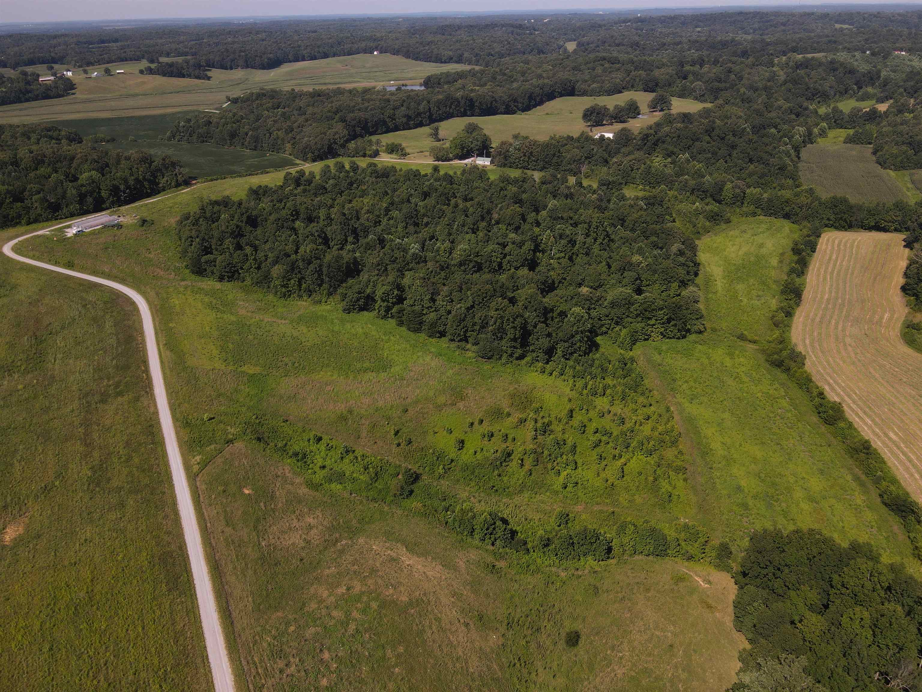 995 Wilkerson Rd, Dixon, Kentucky 42409-0000, ,Land,For Sale,Wilkerson Rd,87636