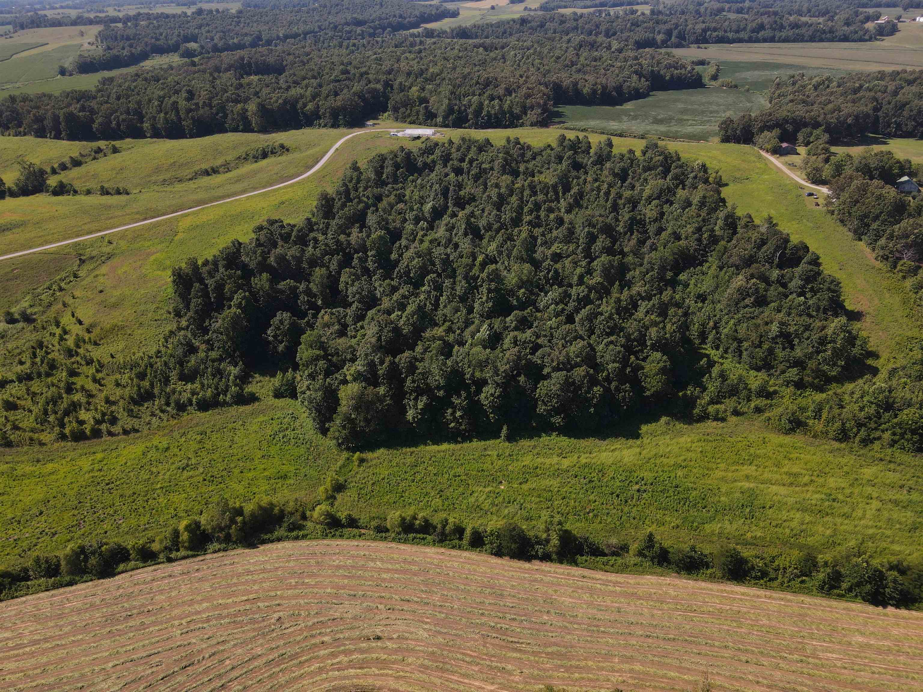 995 Wilkerson Rd, Dixon, Kentucky 42409-0000, ,Land,For Sale,Wilkerson Rd,87636