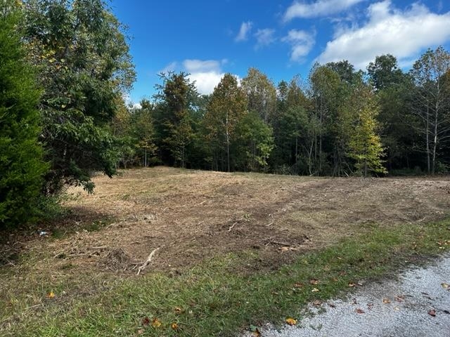 0 Dewitt Road - Tract 2, Fordsville, Kentucky 42343, ,Land,For Sale,Dewitt Road - Tract 2,87642