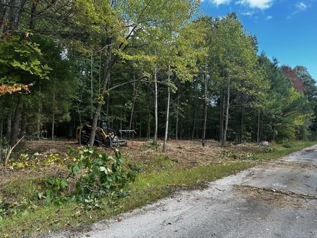 0 Dewitt Road - Tract 2, Fordsville, Kentucky 42343, ,Land,For Sale,Dewitt Road - Tract 2,87642