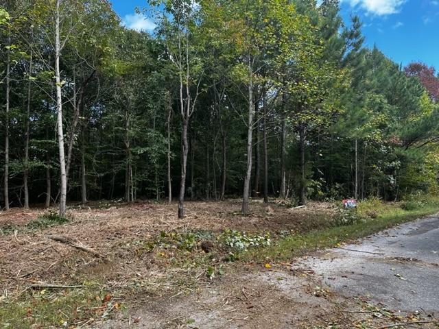 0 Dewitt Road - Tract 2, Fordsville, Kentucky 42343, ,Land,For Sale,Dewitt Road - Tract 2,87642