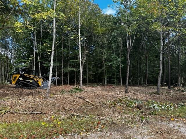 0 Dewitt Road - Tract 2, Fordsville, Kentucky 42343, ,Land,For Sale,Dewitt Road - Tract 2,87642