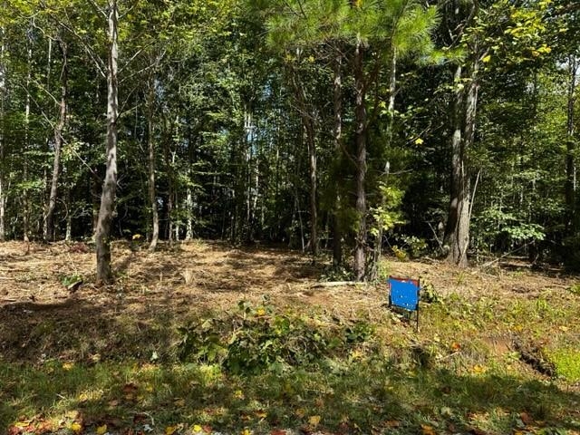 0 Dewitt Road - Tract 2, Fordsville, Kentucky 42343, ,Land,For Sale,Dewitt Road - Tract 2,87642