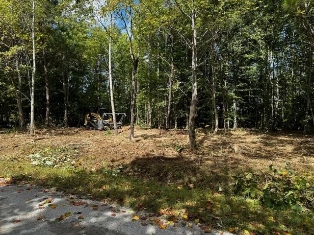 0 Dewitt Road - Tract 2, Fordsville, Kentucky 42343, ,Land,For Sale,Dewitt Road - Tract 2,87642