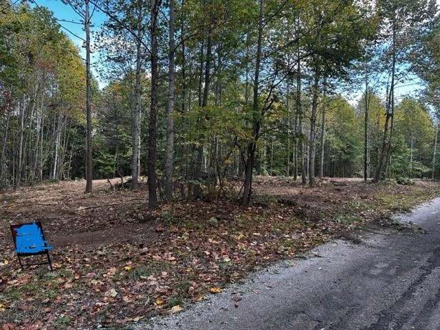 0 Dewitt Road - Tract 2, Fordsville, Kentucky 42343, ,Land,For Sale,Dewitt Road - Tract 2,87642