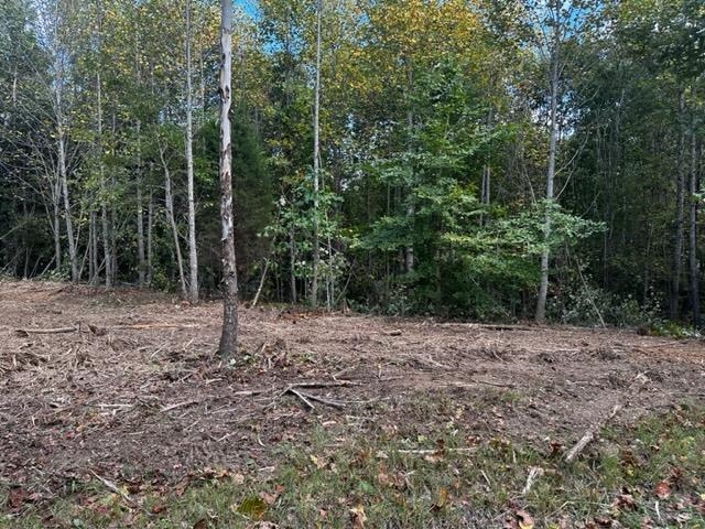 0 Dewitt Road - Tract 2, Fordsville, Kentucky 42343, ,Land,For Sale,Dewitt Road - Tract 2,87642