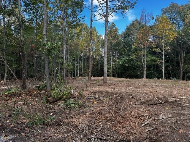 0 Dewitt Road - Tract 2, Fordsville, Kentucky 42343, ,Land,For Sale,Dewitt Road - Tract 2,87642