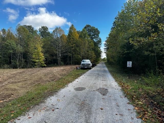 0 Dewitt Road - Tract 3, Fordsville, Kentucky 42343, ,Land,For Sale,Dewitt Road - Tract 3,87643