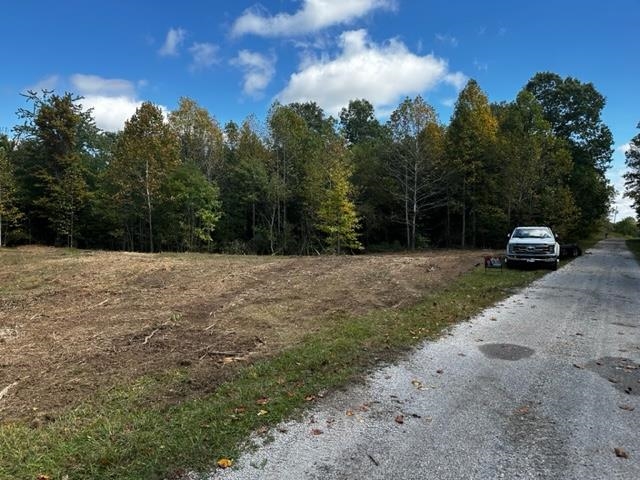 0 Dewitt Road - Tract 3, Fordsville, Kentucky 42343, ,Land,For Sale,Dewitt Road - Tract 3,87643