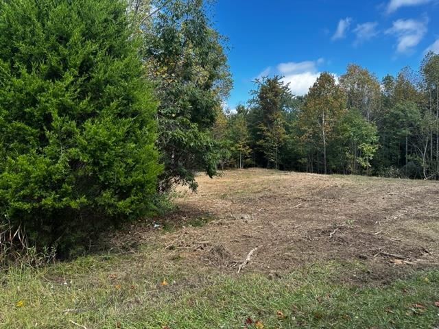 0 Dewitt Road - Tract 3, Fordsville, Kentucky 42343, ,Land,For Sale,Dewitt Road - Tract 3,87643