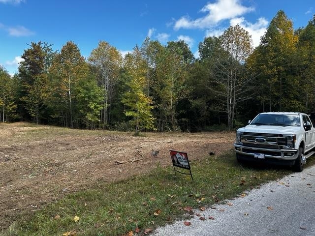 0 Dewitt Road - Tract 3, Fordsville, Kentucky 42343, ,Land,For Sale,Dewitt Road - Tract 3,87643
