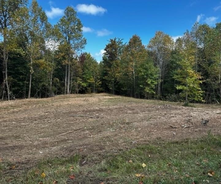 0 Dewitt Road - Tract 3, Fordsville, Kentucky 42343, ,Land,For Sale,Dewitt Road - Tract 3,87643