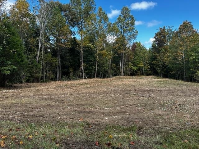 0 Dewitt Road - Tract 3, Fordsville, Kentucky 42343, ,Land,For Sale,Dewitt Road - Tract 3,87643