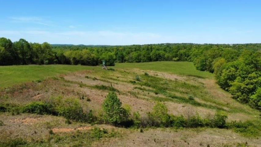 0 Eveleigh Road, Leitchfield, Kentucky 42754, ,Farm,For Sale,Eveleigh Road,87684