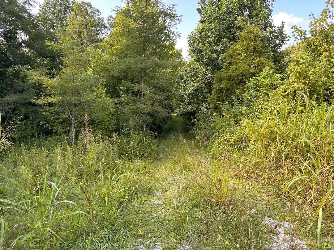 10488 W Hwy 60, Cloverport, Kentucky 40111, 3 Bedrooms Bedrooms, ,2 BathroomsBathrooms,Manufactured On Land,For Sale,W Hwy 60,87685
