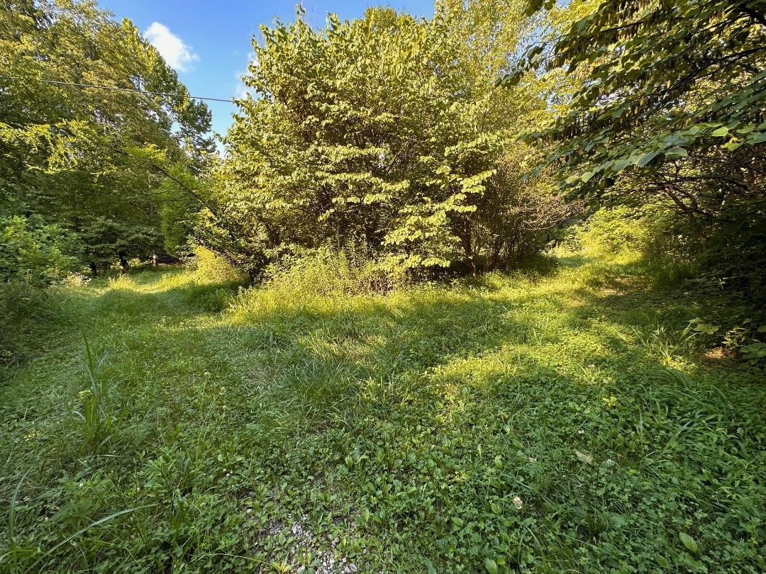 10488 W Hwy 60, Cloverport, Kentucky 40111, 3 Bedrooms Bedrooms, ,2 BathroomsBathrooms,Manufactured On Land,For Sale,W Hwy 60,87685