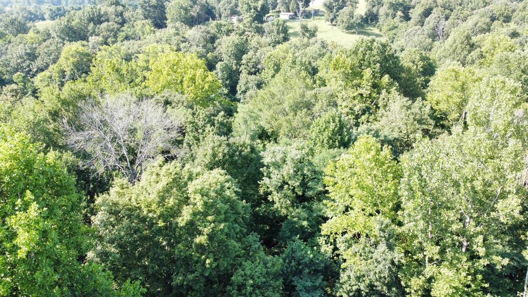10488 W Hwy 60, Cloverport, Kentucky 40111, 3 Bedrooms Bedrooms, ,2 BathroomsBathrooms,Manufactured On Land,For Sale,W Hwy 60,87685