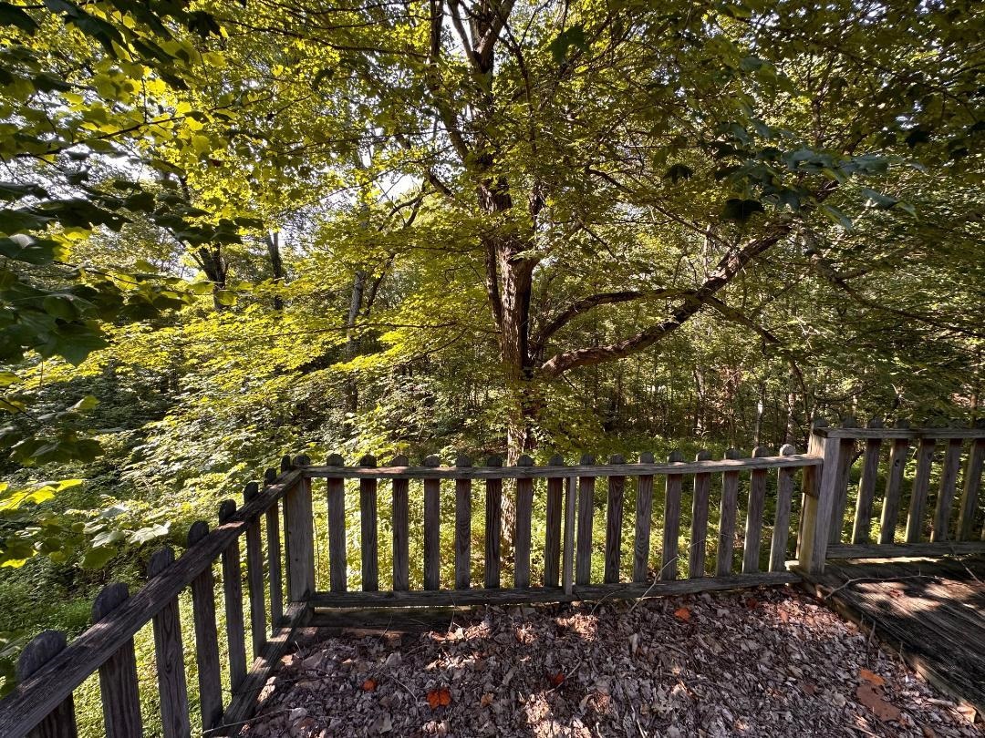 10488 W Hwy 60, Cloverport, Kentucky 40111, 3 Bedrooms Bedrooms, ,2 BathroomsBathrooms,Manufactured On Land,For Sale,W Hwy 60,87685