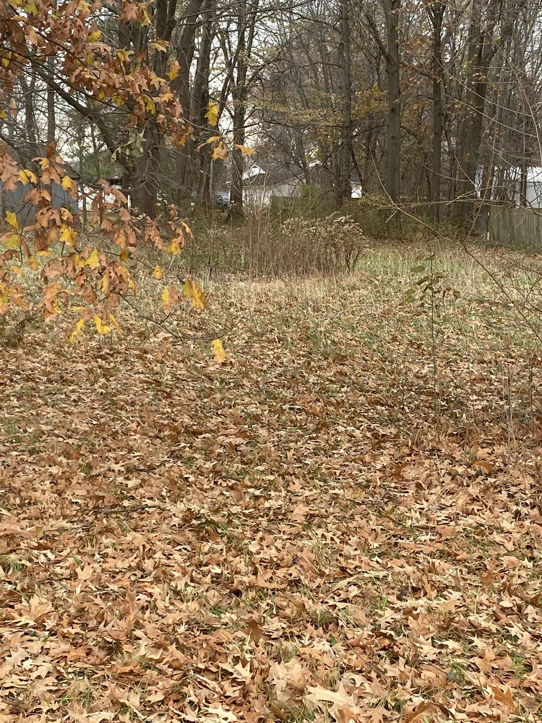 8902 Sacra Dr, Owensboro, Kentucky 42355, ,Land,For Sale,Sacra Dr,87770