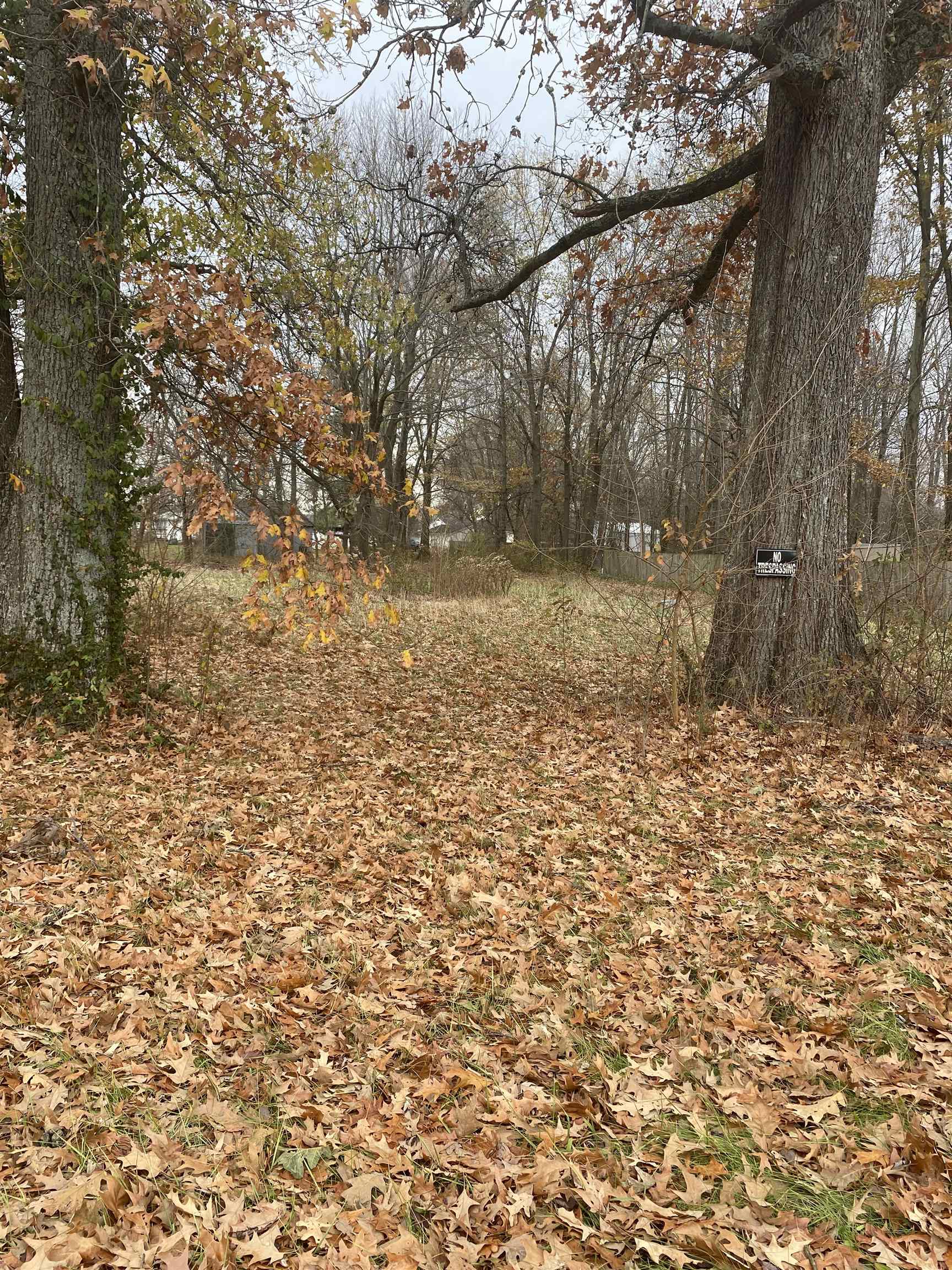 8902 Sacra Dr, Owensboro, Kentucky 42355, ,Land,For Sale,Sacra Dr,87770