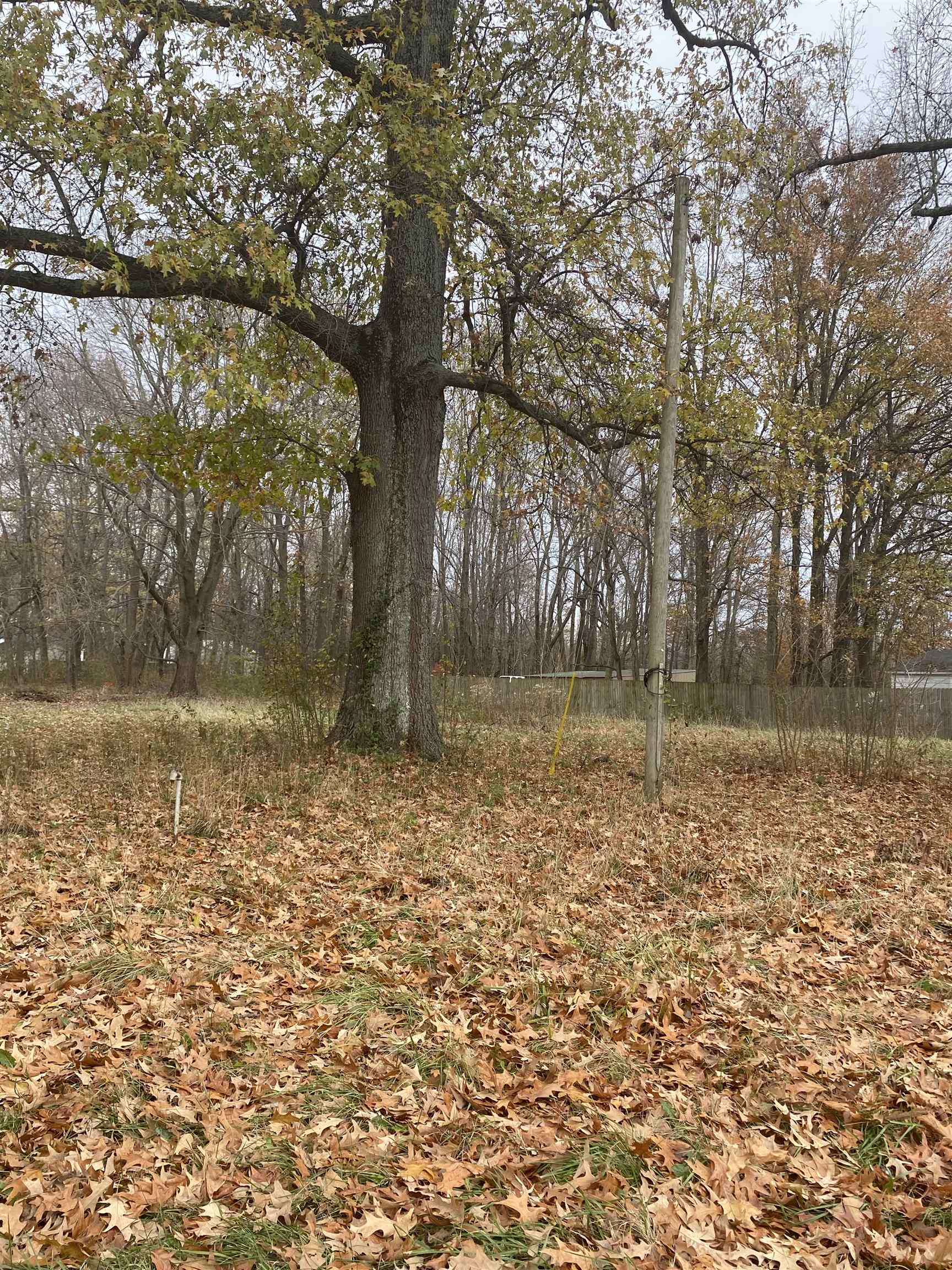 8902 Sacra Dr, Owensboro, Kentucky 42355, ,Land,For Sale,Sacra Dr,87770