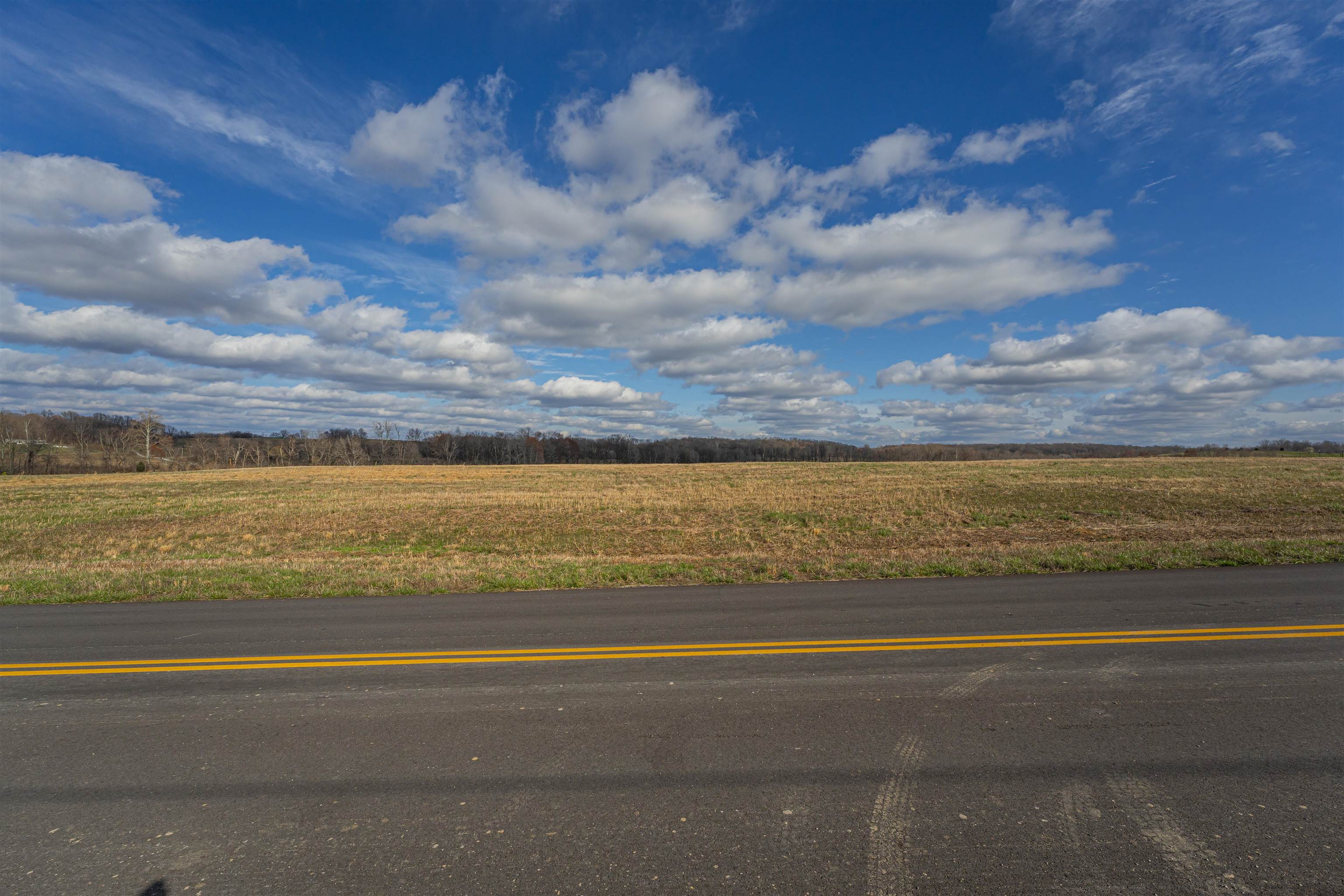 4681 Free Silver Road, Philpot, Kentucky 42366, ,Land,For Sale,Free Silver Road,87781
