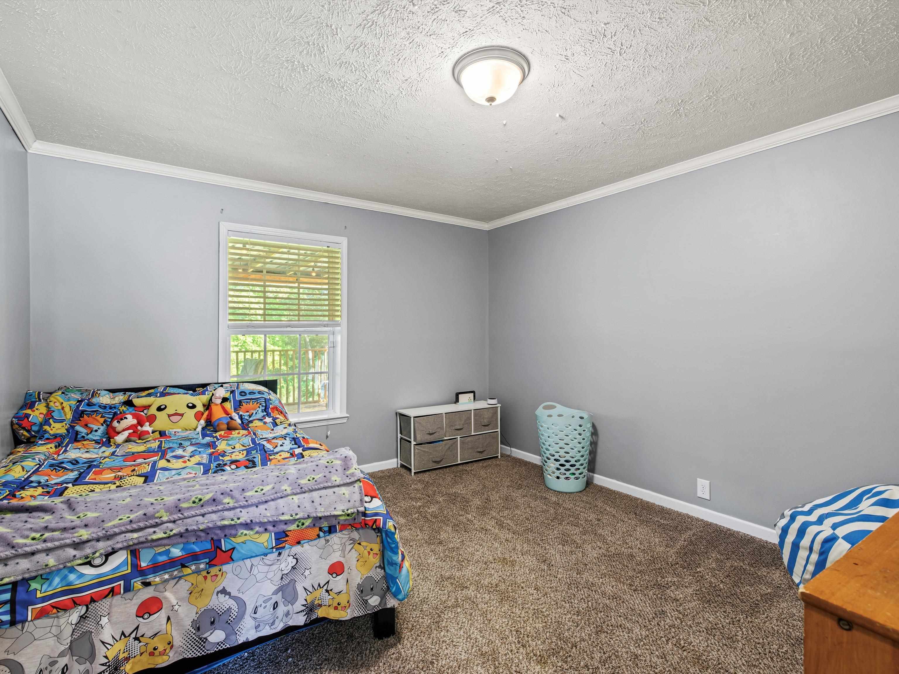 1227 Cedar Grove Road, Hartford, Kentucky 42347, 4 Bedrooms Bedrooms, ,2 BathroomsBathrooms,Single Family Residence,For Sale,Cedar Grove Road,87949