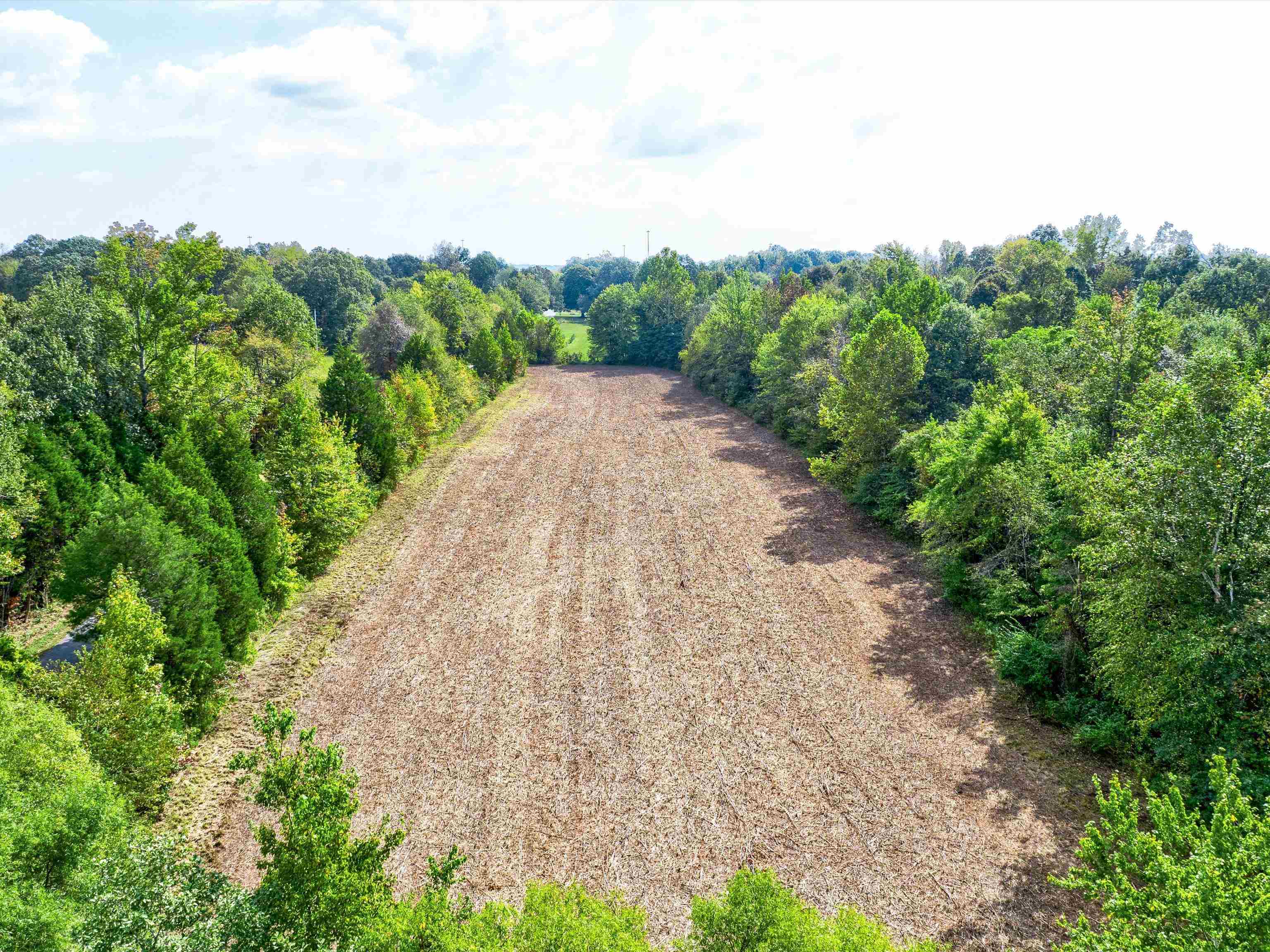 000 Old Rob Roy Lane, Beaver Dam, Kentucky 42320, ,Land,For Sale,Old Rob Roy Lane,87952