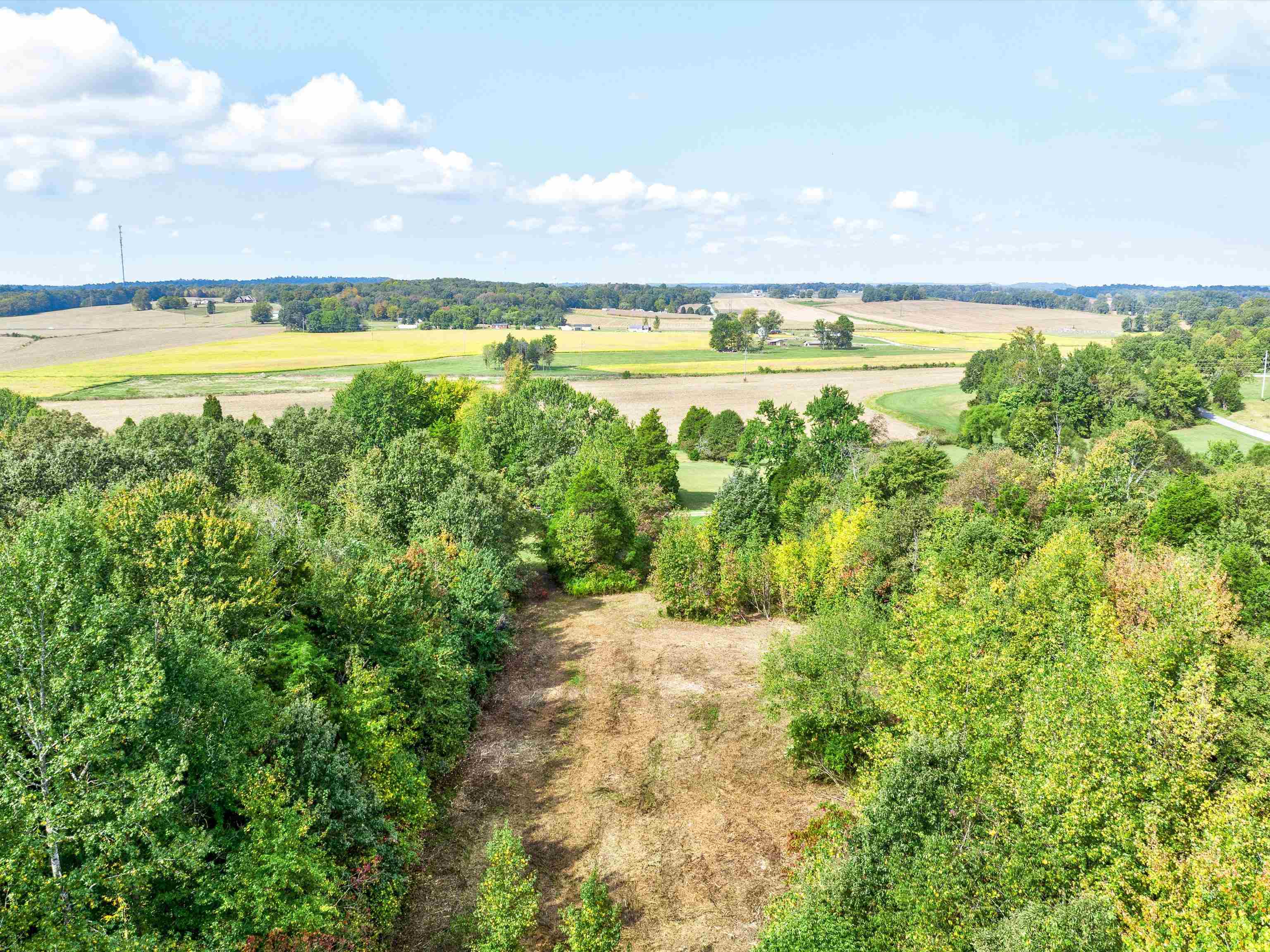 000 Old Rob Roy Lane, Beaver Dam, Kentucky 42320, ,Land,For Sale,Old Rob Roy Lane,87952