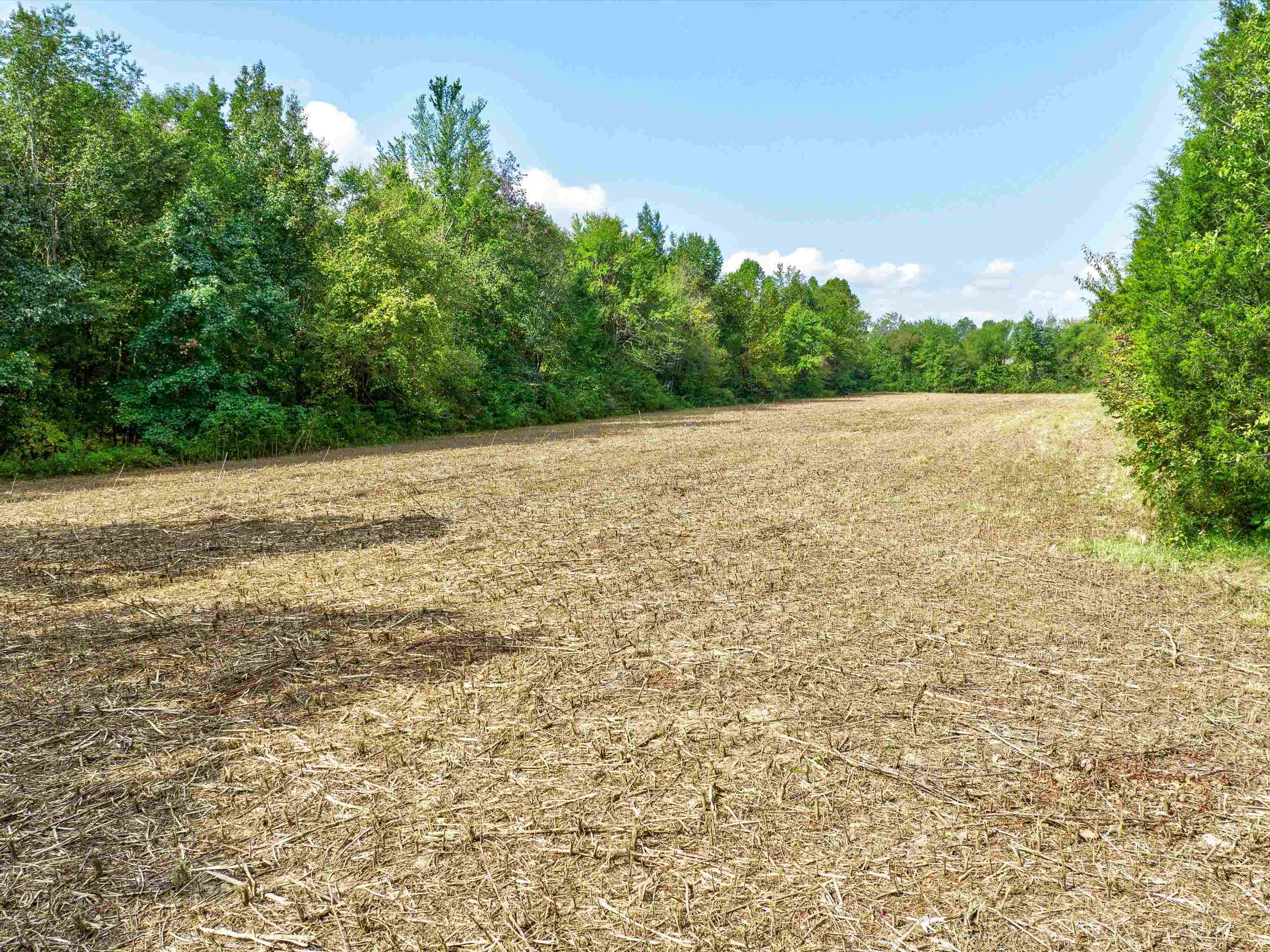 000 Old Rob Roy Lane, Beaver Dam, Kentucky 42320, ,Land,For Sale,Old Rob Roy Lane,87952
