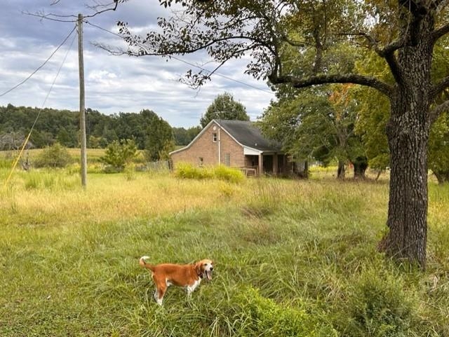 5520 Forest Oak Church Rd, Belton, Kentucky 42324, 2 Bedrooms Bedrooms, ,1 BathroomBathrooms,Single Family Residence,For Sale,Forest Oak Church Rd,87996