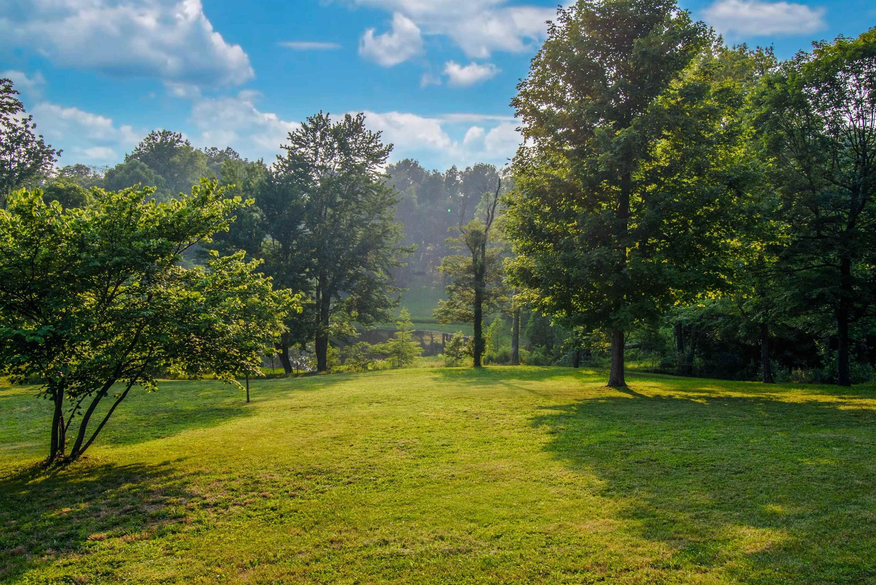 11622 Hwy 136, Livermore, Kentucky 42352, 4 Bedrooms Bedrooms, ,3 BathroomsBathrooms,Single Family Residence,For Sale,Hwy 136,88021