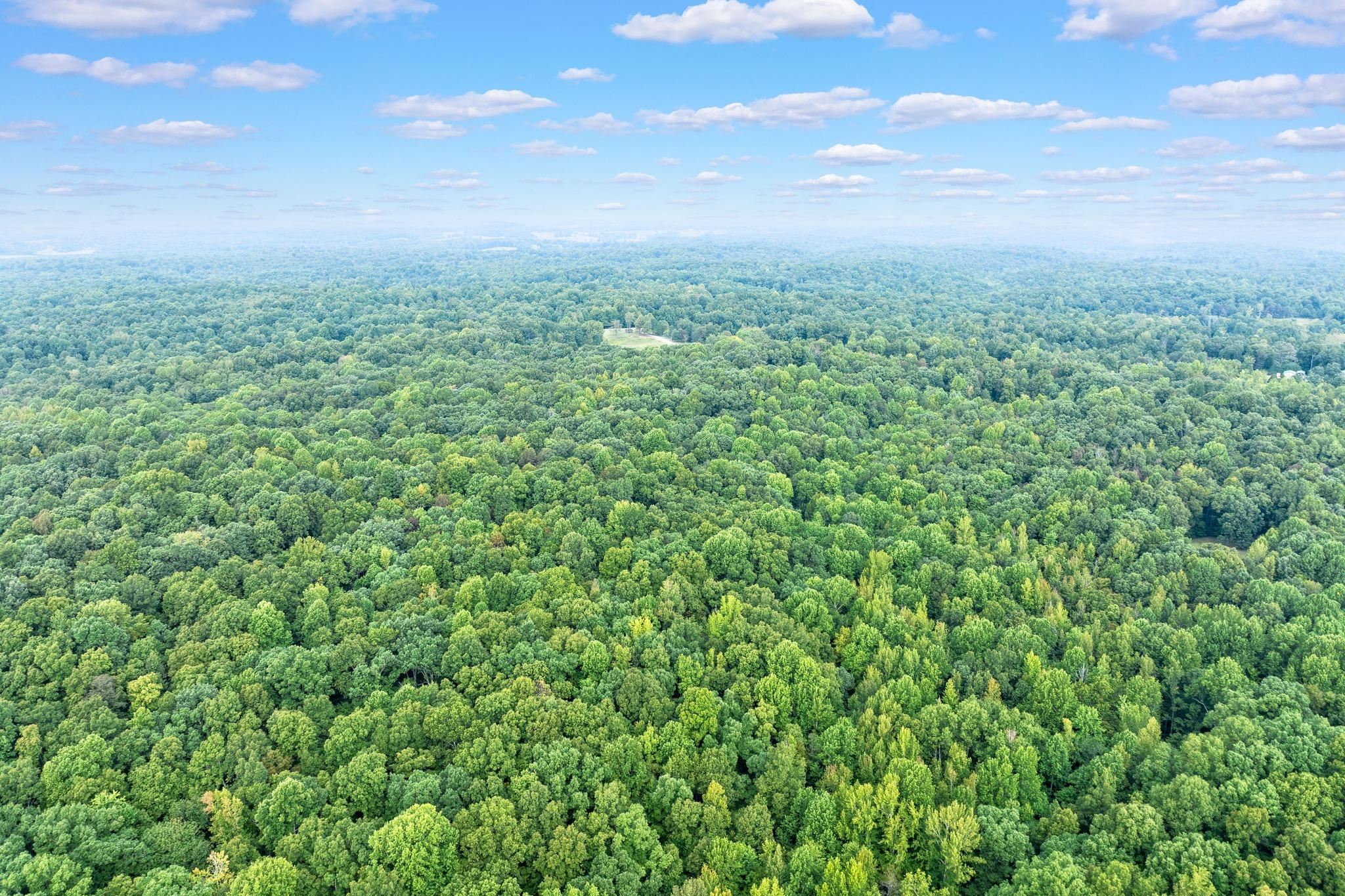 3869 Pellville Road, Reynolds Station, Kentucky 42368, 3 Bedrooms Bedrooms, ,2 BathroomsBathrooms,Single Family Residence,For Sale,Pellville Road,88041