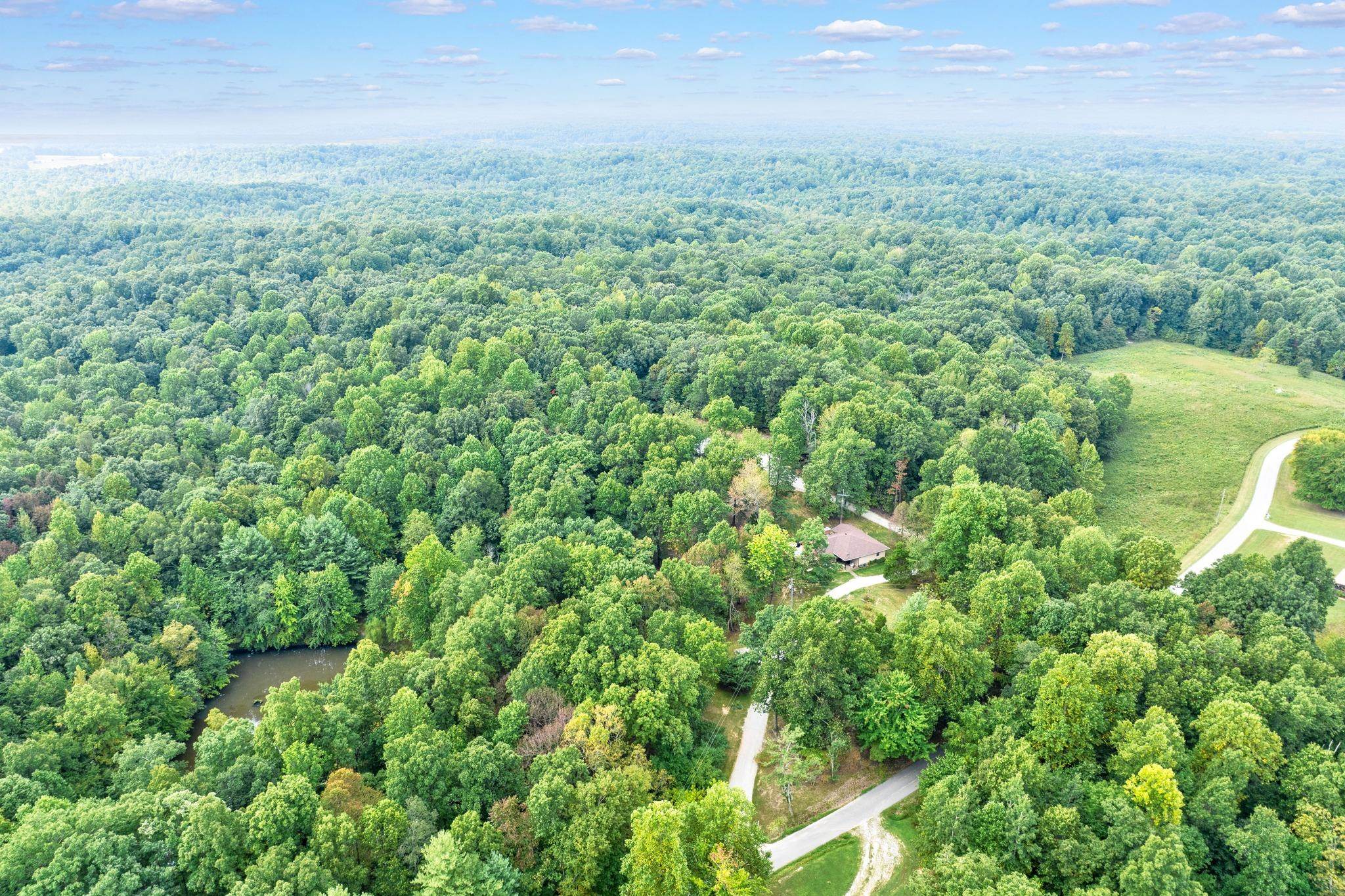 3869 Pellville Road, Reynolds Station, Kentucky 42368, 3 Bedrooms Bedrooms, ,2 BathroomsBathrooms,Single Family Residence,For Sale,Pellville Road,88041