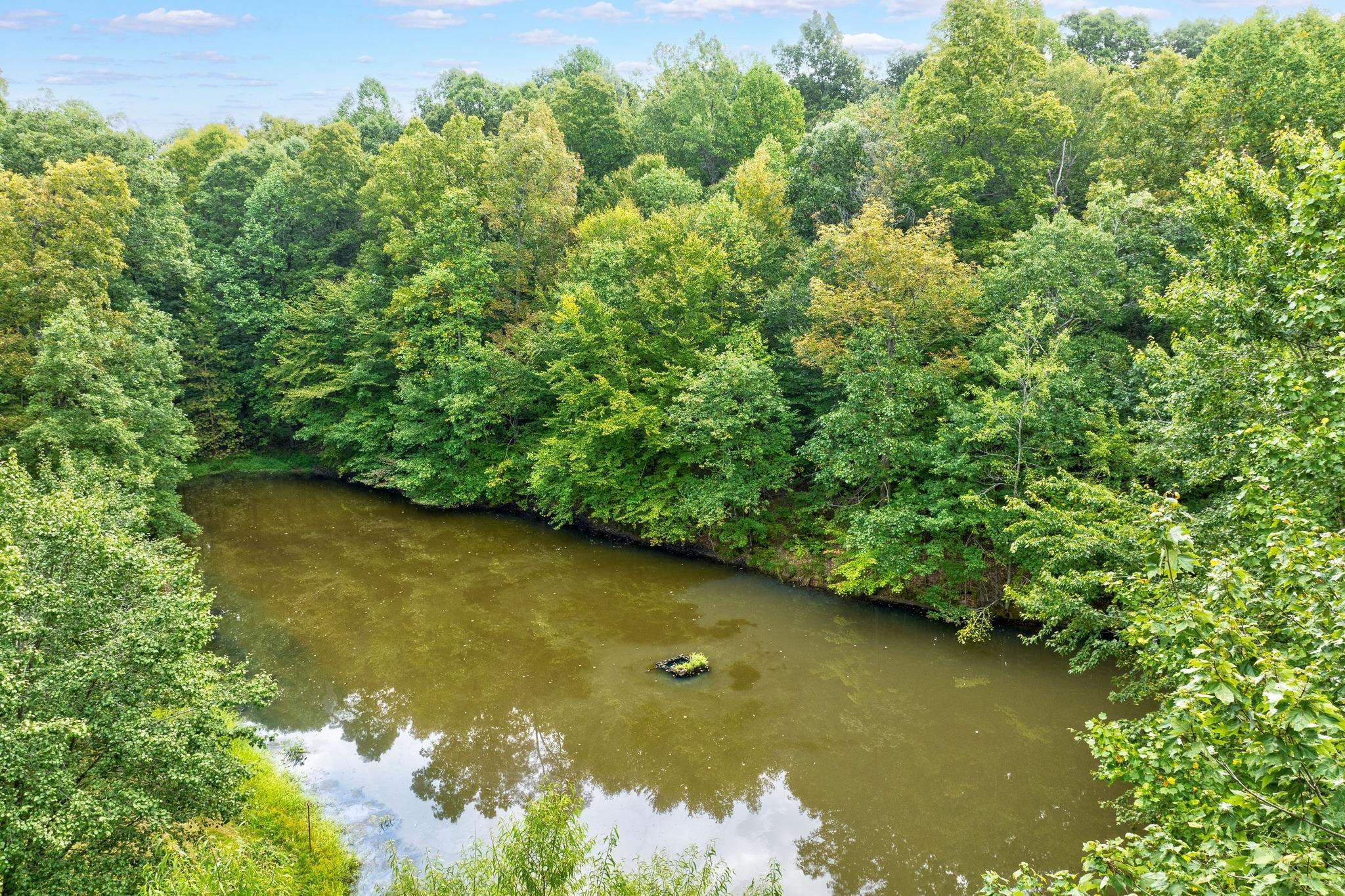 3869 Pellville Road, Reynolds Station, Kentucky 42368, 3 Bedrooms Bedrooms, ,2 BathroomsBathrooms,Single Family Residence,For Sale,Pellville Road,88041